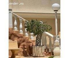 ÁTICO DÚPLEX CON CINCO TERRAZAS, GARAJE, LUZ NATURAL Y ESPACIOS VERSÁTILES