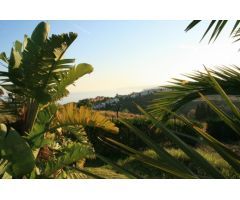 PARCELA URBANA DIRECTA SEGHERS ESTEPONA