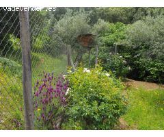 CASA DE CAMPO EN VENTA EN MADROÑERA - CÁCERES