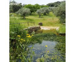 CASA DE CAMPO EN VENTA EN MADROÑERA - CÁCERES