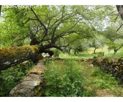 CASA DE CAMPO EN VENTA EN MADROÑERA - CÁCERES