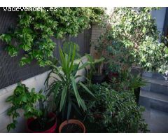 Se vende chalet adosado en San Antonio de Benagéber, Valencia