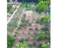 Se vende chalet en Monserrat, Valencia