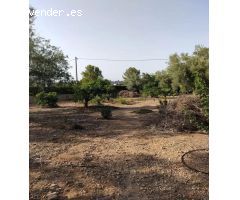 Se vende chalet en Chiva, Valencia