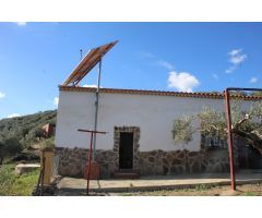 MAGNIFICO OLIVAR CON CASA, COCHERA PARA APEROS Y PISCINA ENTRE VILLAHARTA Y POZOBLANCO.