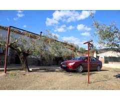 MAGNIFICO OLIVAR CON CASA, COCHERA PARA APEROS Y PISCINA ENTRE VILLAHARTA Y POZOBLANCO.
