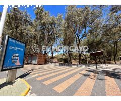 Fantástico local en la avenida principal de Guardamar del Segura, Alicante