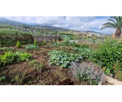 Casa muy amplia con finca, terrazas varias, garaje varios vehículos, preciosas vistas