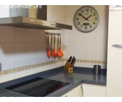ALQUILER VIVIENDA  CASCO VIEJO DE JULIO A DICIEMBRE (corta estancia )