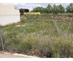 TERRENO EN ALMANSA