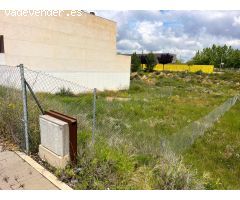 TERRENO EN ALMANSA