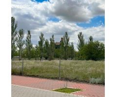 TERRENO EN ALMANSA