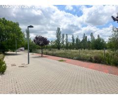 TERRENO EN ALMANSA