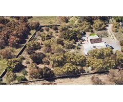 FINCA DE 3500 M2 CON 100 M2 DE CONSTRUCCIÓN A REFORMAR PLANTADA DE AGUACATES