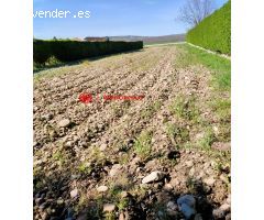 Tu Refugio Natural te Espera en la Carretera de Ibeas-Arlanzón