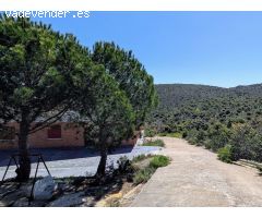 Chalet en Venta en Torremocha de Jarama, Madrid