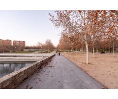 Piso en Alquiler en Madrid de las Caderechas, Madrid
