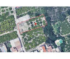TERRENO DE 800 M² EN SAN GINÉS: URBANIZABLE, VERSÁTIL Y PERFECTAMENTE CONECTADO