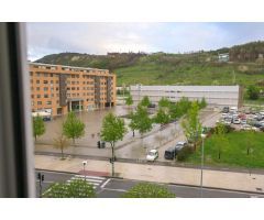 Piso en venta en Orvina.