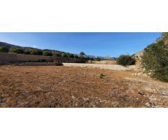 TERRENO RUSTICO EN ORXETA