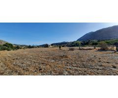 TERRENO RUSTICO EN ORXETA