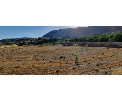TERRENO RUSTICO EN ORXETA