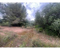 TERRENO URBANO MAINOU