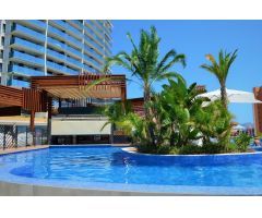 ALQUILER ANUAL EN SUNSET DRIVE BENIDORM