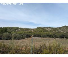 Terreno en Llosa de Camacho, Alcalalí: Inversión sostenible y proyectos locales