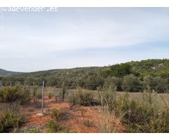 Terreno en Llosa de Camacho, Alcalalí: Inversión sostenible y proyectos locales