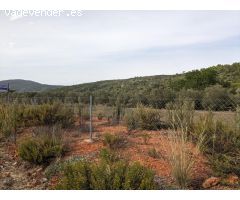 Terreno en Llosa de Camacho, Alcalalí: Inversión sostenible y proyectos locales