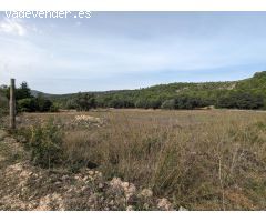 Terreno en Llosa de Camacho, Alcalalí: Inversión sostenible y proyectos locales