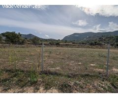 Terreno en Llosa de Camacho, Alcalalí: Inversión sostenible y proyectos locales
