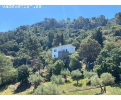 CASA RUSTICA EN PUIGPUNYENT.