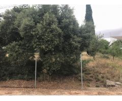 Parcela en Sotolargo de 970 m².