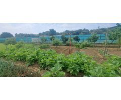 Terreno rural en Venta en Los Barrios, Cádiz
