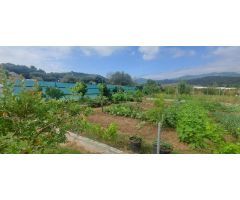 Terreno rural en Venta en Los Barrios, Cádiz