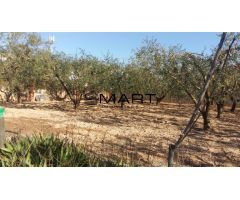 Terreno urbanizado de 503m2 en Pins Manous