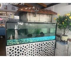 Se Traspasa Restaurante en Funcionamiento