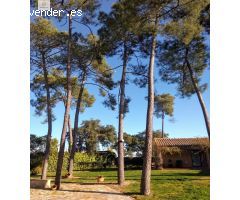 Se VENDE CASA EN LA SIERRILLA