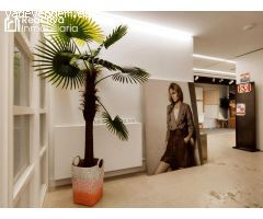 Piso céntrico luminoso y moderno, actualmente dedicado a oficinas