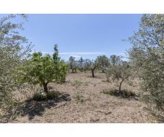 Terreno Rústico en Venta en La Granada, Granada