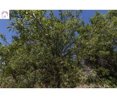 Terreno Rústico en Venta en La Granada, Granada