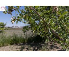 Terreno Rústico en Venta en La Granada, Granada