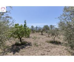 Terreno Rústico en Venta en La Granada, Granada