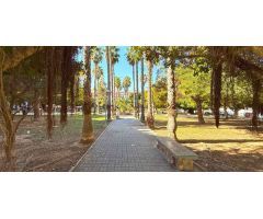 Apartamento en Venta en Torrevieja, Alicante