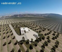 Villa en Venta en Algorfa, Alicante