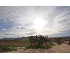 Casa de campo en Venta en Pinoso, Alicante