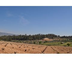 Parcela en Venta en Jumilla, Murcia