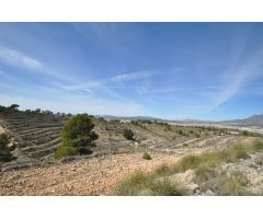 Parcela en Venta en Jumilla, Murcia